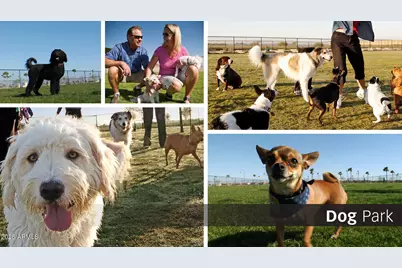 5781 N Oak Creek Drive, Eloy, AZ 85131 - Photo 18