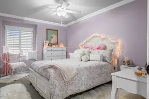 3428 E Encanto St, Mesa, AZ 85213 - Photo 52