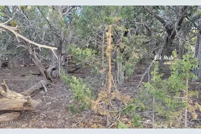 15115 Noseeum Road #621, Williams, AZ 86046 - Photo 16