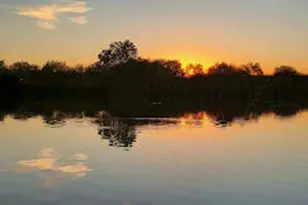 4390 S White Dr, Chandler, AZ 85249 - Photo 76