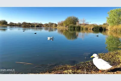 4390 S White Drive, Chandler, AZ 85249 - Photo 64