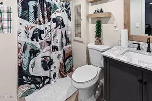 341 Pinto Rd, Forest Lakes, AZ 85931 - Photo 32