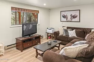 341 Pinto Rd, Forest Lakes, AZ 85931 - Photo 30