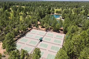 3990 Sugar Pine Loop, Show Low, AZ 85901 - Photo 54