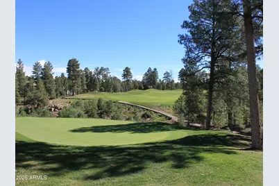 3990 Sugar Pine Loop, Show Low, AZ 85901 - Photo 60
