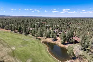 3990 Sugar Pine Loop, Show Low, AZ 85901 - Photo 38