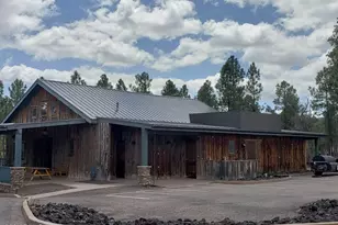 3990 Sugar Pine Loop, Show Low, AZ 85901 - Photo 50