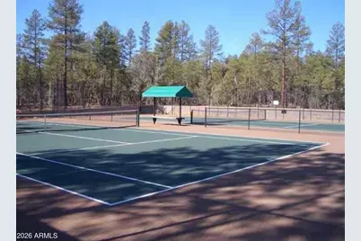 3990 Sugar Pine Loop, Show Low, AZ 85901 - Photo 52