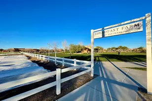 10154 E Theorem Dr, Mesa, AZ 85212 - Photo 74