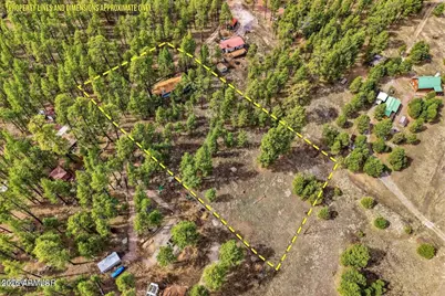 6 S County Road N2148 Road, Alpine, AZ 85920 - Photo 2