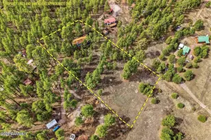 6 S County Road N2148 Rd, Alpine, AZ 85920 - Photo 2