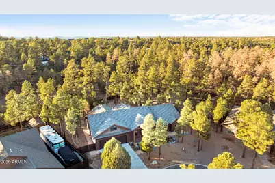 3031 W Alpine Ridge Road, Show Low, AZ 85901 - Photo 10