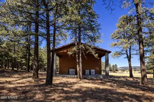 3 County Road N2261 --, Alpine, AZ 85920 - Photo 10