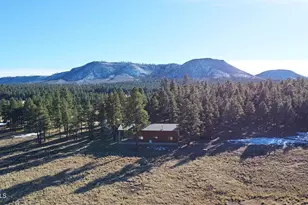 3 County Road N2261 --, Alpine, AZ 85920 - Photo 32