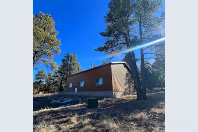 3 County Road N2261 --, Alpine, AZ 85920 - Photo 12