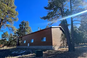 3 County Road N2261 --, Alpine, AZ 85920 - Photo 12