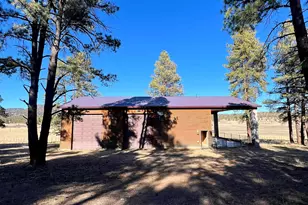 3 County Road N2261 --, Alpine, AZ 85920 - Photo 6