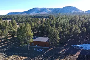 3 County Road N2261 --, Alpine, AZ 85920 - Photo 36