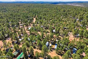 2877 Lazy Bear Trail, Overgaard, AZ 85933 - Photo 30