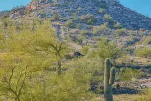 32003 N 126th Ave, Peoria, AZ 85383 - Photo 68