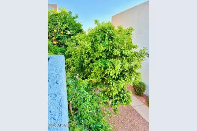 220 N 22nd Place N #2059, Mesa, AZ 85213 - Photo 18