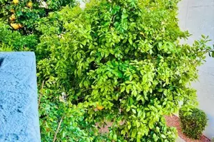 220 N 22nd Pl N, Mesa, AZ 85213 - Photo 18