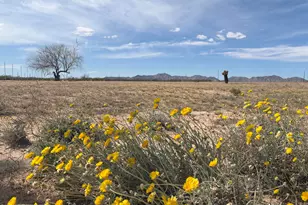 37138 Six Shooter Rd, Salome, AZ 85348 - Photo 1