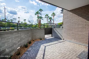 6900 E 1st Ave, Scottsdale, AZ 85251 - Photo 4