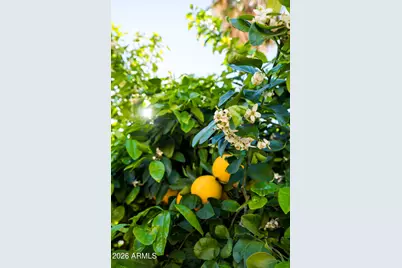 1305 W Wagoner Road, Phoenix, AZ 85023 - Photo 26