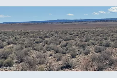 Lot 352 Carrizo Ranch -- #352, Saint Johns, AZ 85936 - Photo 12