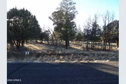 2570 Kettle Way #200, Happy Jack, AZ 86024 - Photo 1
