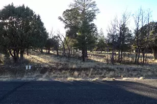 2570 Kettle Way, Happy Jack, AZ 86024 - Photo 1