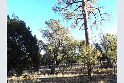 2570 Kettle Way #200, Happy Jack, AZ 86024 - Photo 8