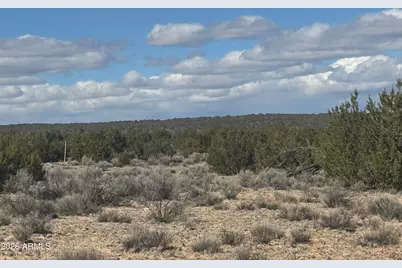 Lot 75 Red Sky Ranch -- #75, Saint Johns, AZ 85936 - Photo 18