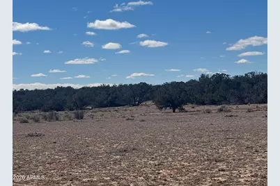 Lot 75 Red Sky Ranch -- #75, Saint Johns, AZ 85936 - Photo 8