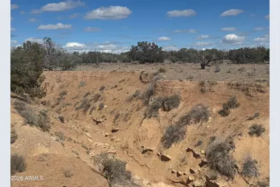Lot 75 Red Sky Ranch -- #75, Saint Johns, AZ 85936 - Photo 4