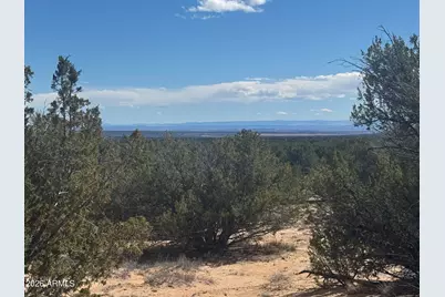 Lot 75 Red Sky Ranch -- #75, Saint Johns, AZ 85936 - Photo 20