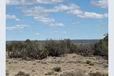 Lot 75 Red Sky Ranch -- #75, Saint Johns, AZ 85936 - Photo 10