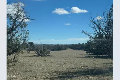 Lot 75 Red Sky Ranch -- #75, Saint Johns, AZ 85936 - Photo 14