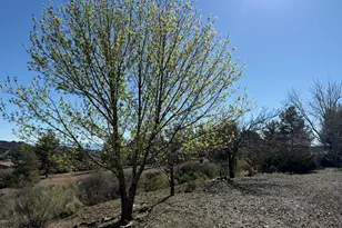 13180 E Evergreen Trl, Mayer, AZ 86333 - Photo 28