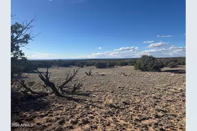 Lot 93 Red Sky Ranch -- #93, Saint Johns, AZ 85936 - Photo 10