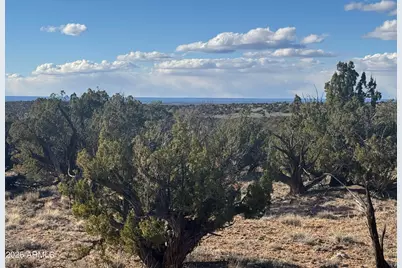 Lot 93 Red Sky Ranch -- #93, Saint Johns, AZ 85936 - Photo 8