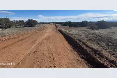 Lot 93 Red Sky Ranch -- #93, Saint Johns, AZ 85936 - Photo 14
