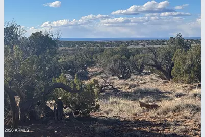 Lot 93 Red Sky Ranch -- #93, Saint Johns, AZ 85936 - Photo 6