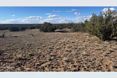 Lot 93 Red Sky Ranch -- #93, Saint Johns, AZ 85936 - Photo 10