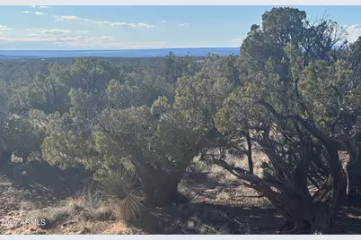 Lot 93 Red Sky Ranch -- #93, Saint Johns, AZ 85936 - Photo 6