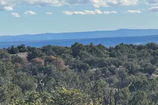 Lot 93 Red Sky Ranch --, Saint Johns, AZ 85936 - Photo 1