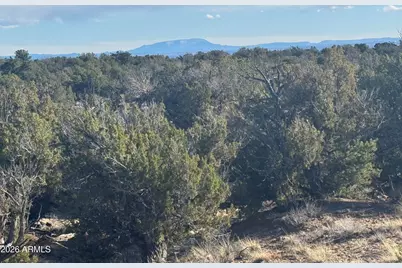 Lot 93 Red Sky Ranch -- #93, Saint Johns, AZ 85936 - Photo 12