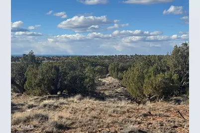 Lot 93 Red Sky Ranch -- #93, Saint Johns, AZ 85936 - Photo 8