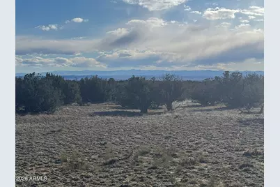 Lot 93 Red Sky Ranch -- #93, Saint Johns, AZ 85936 - Photo 4